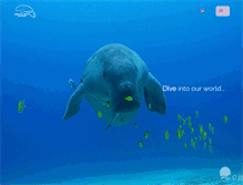 Tablet Screenshot of dugongdivecenter.com